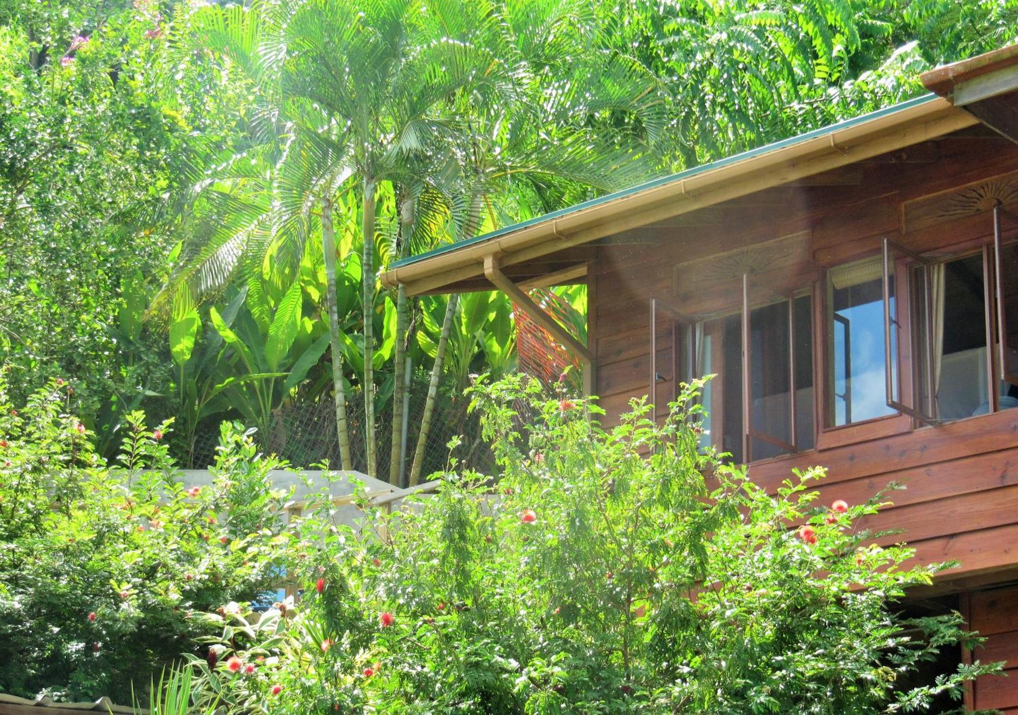 Castara Retreats Διαμέρισμα Δωμάτιο φωτογραφία
